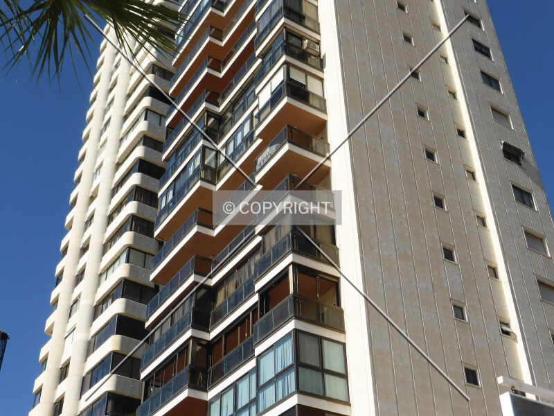 Photo 181-681-253