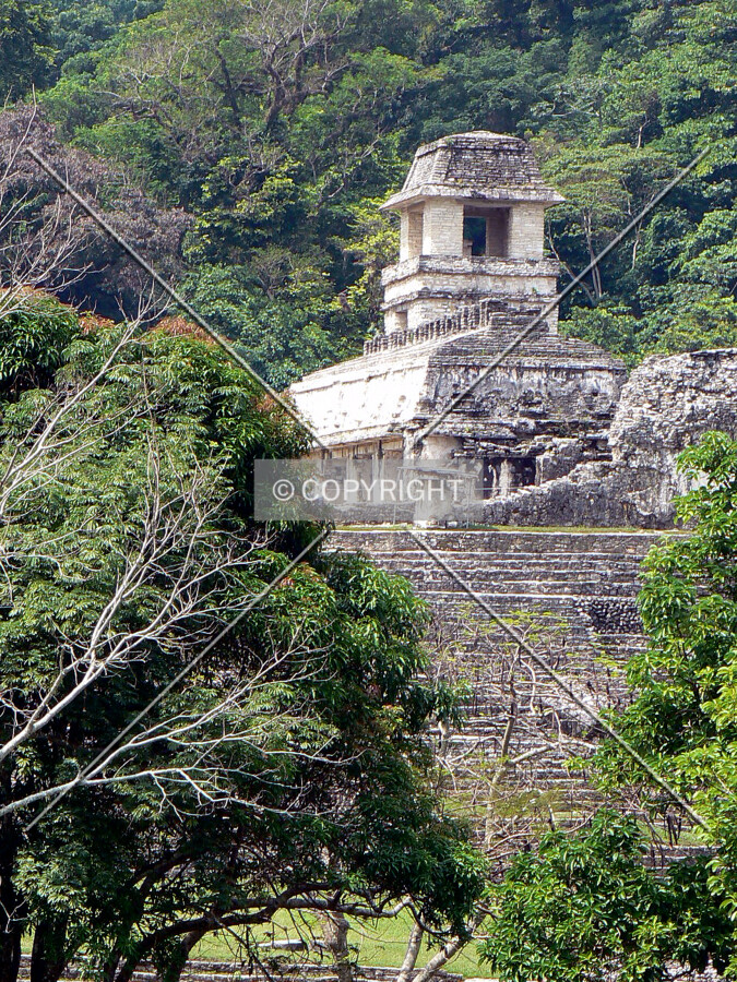 View from the north