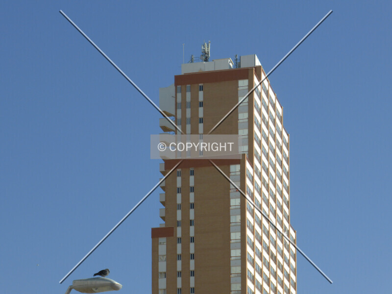 Photo 182-243-952
