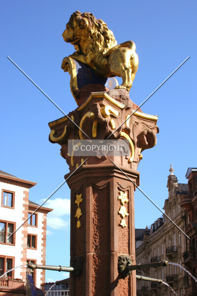 Photo 182-343-293