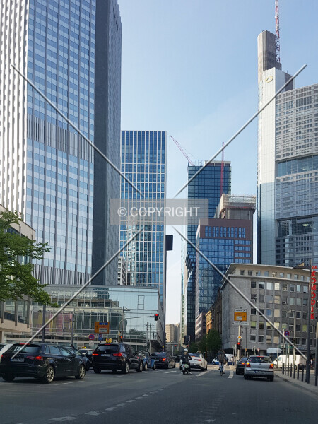 Photo 183-516-001