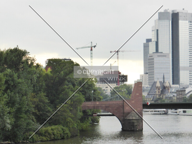 Photo 184-004-907