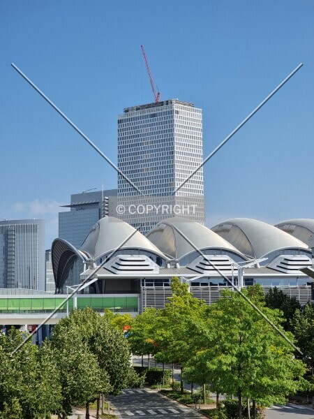 Photo 184-005-484