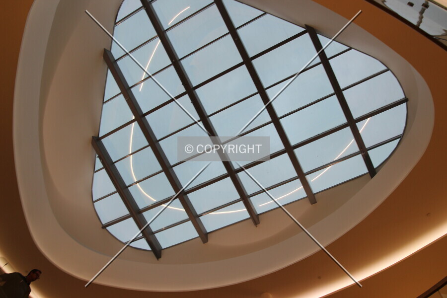 Photo 184-361-959