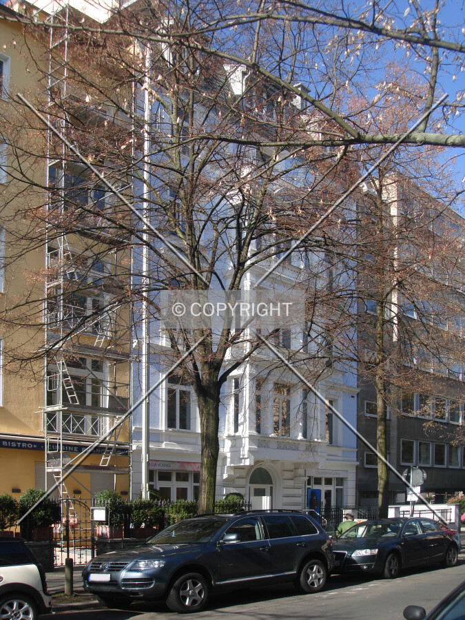 Photo 184-499-163