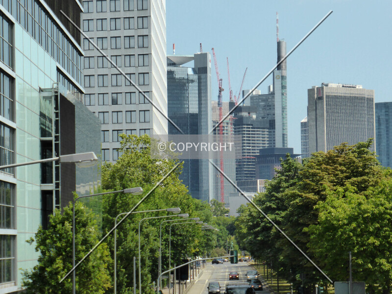 Photo 184-816-686