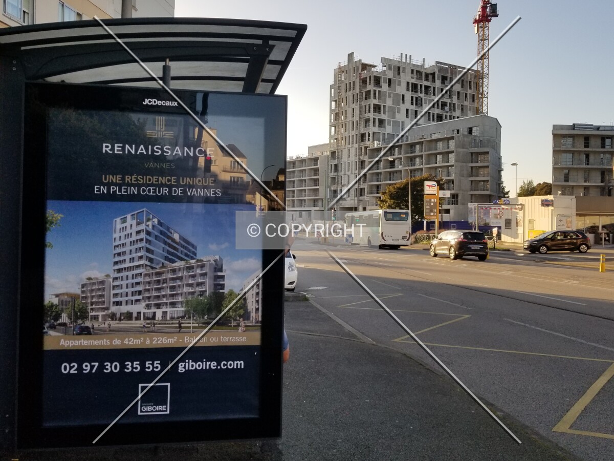 Photo 185-027-975