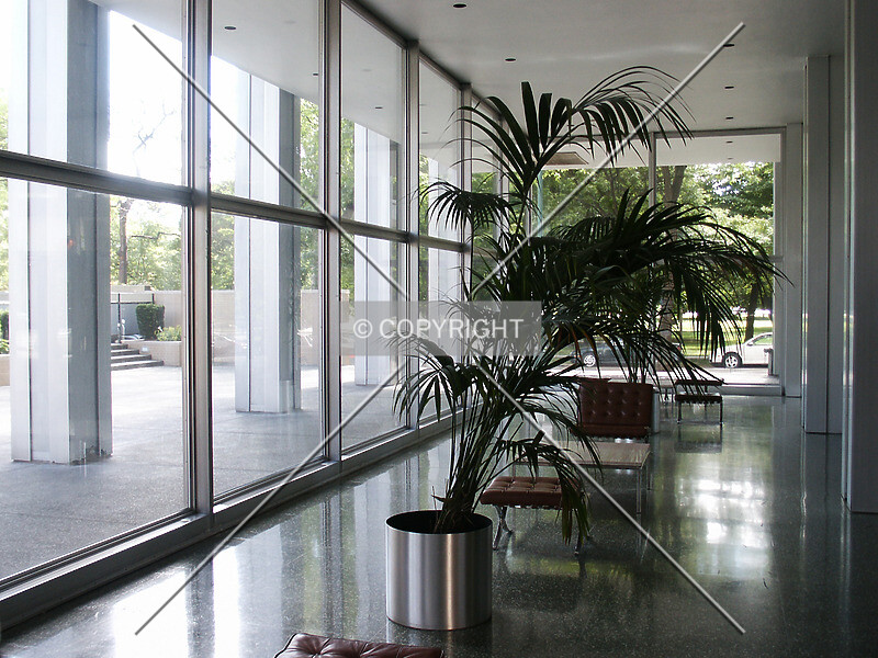 Photo 185-362-462