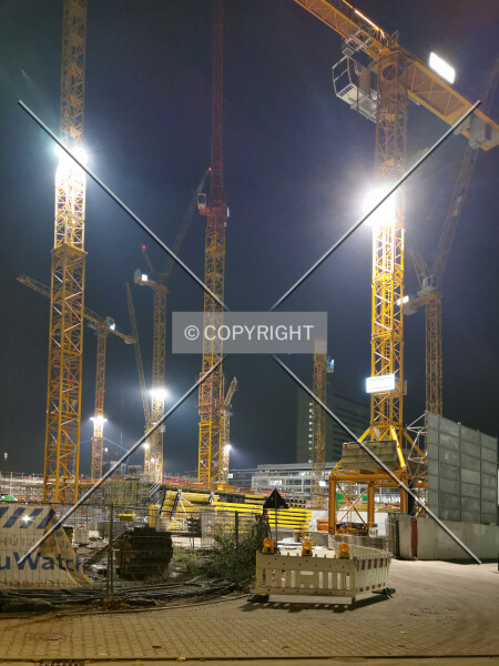 Photo 185-668-250