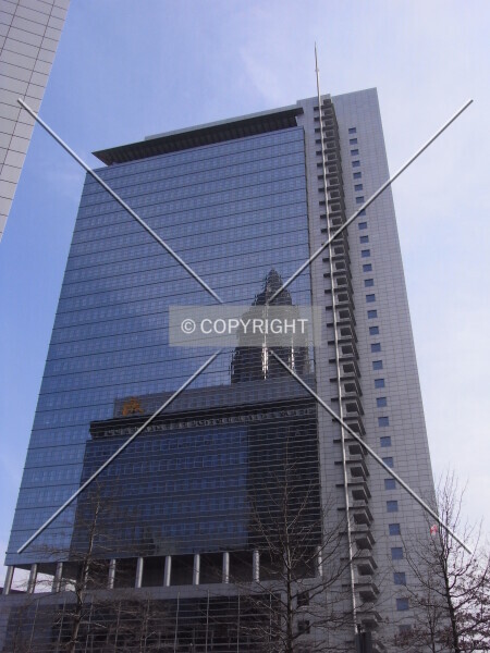 Photo 186-012-392