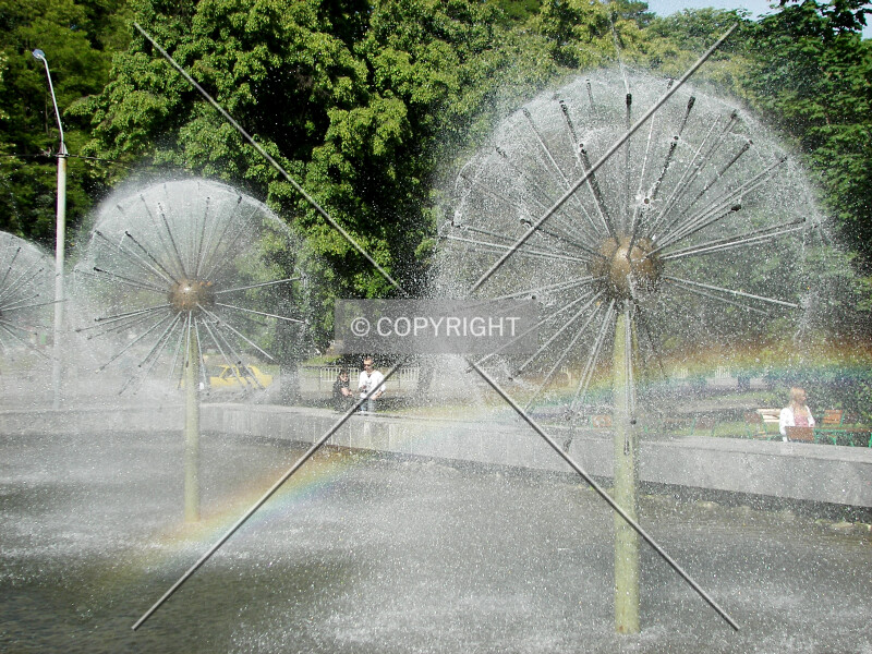 Photo 186-215-246