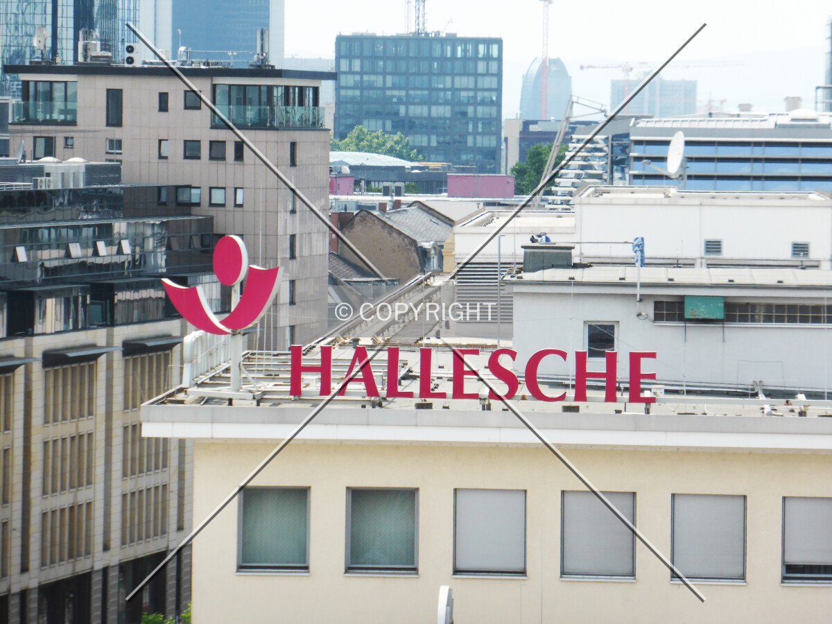 Hallesche Versicherung Logo