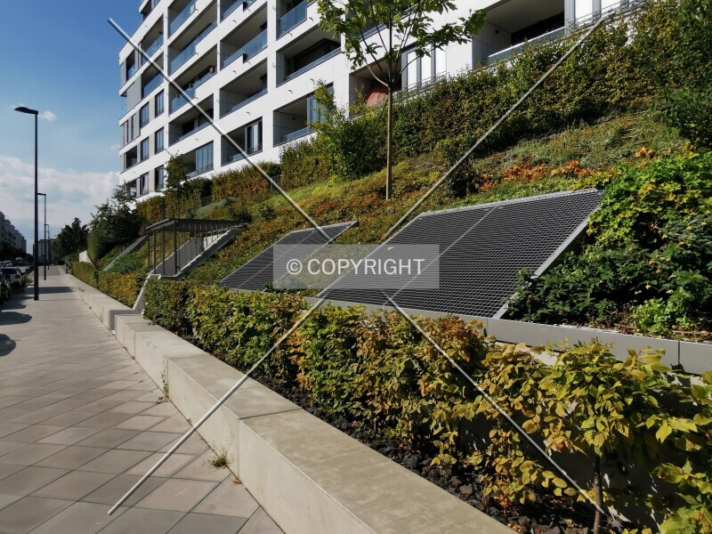 Photo 186-662-675