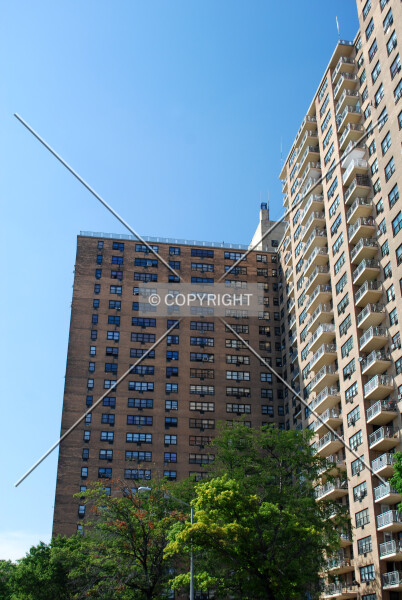 Photo 187-066-318