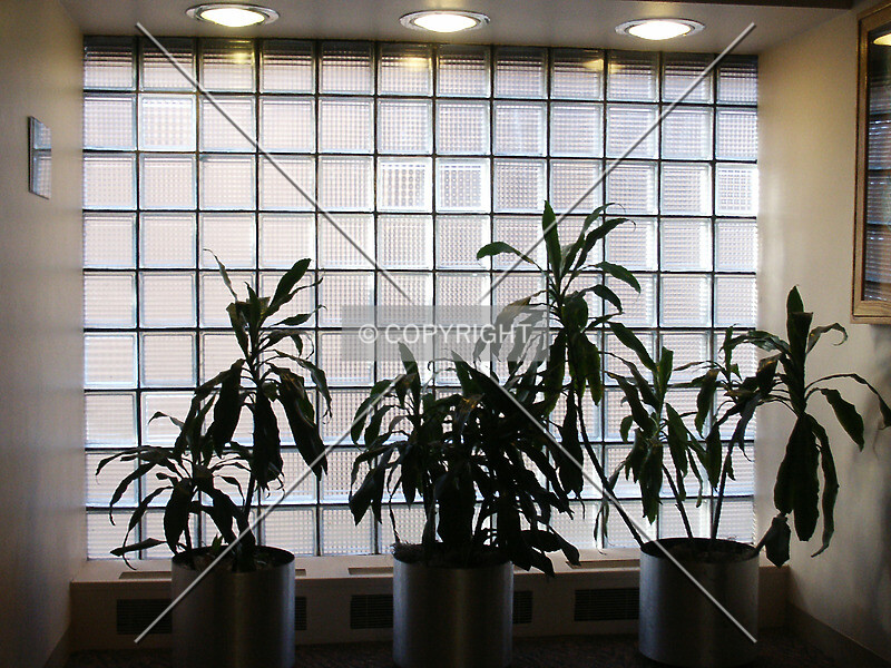 Photo 187-091-328