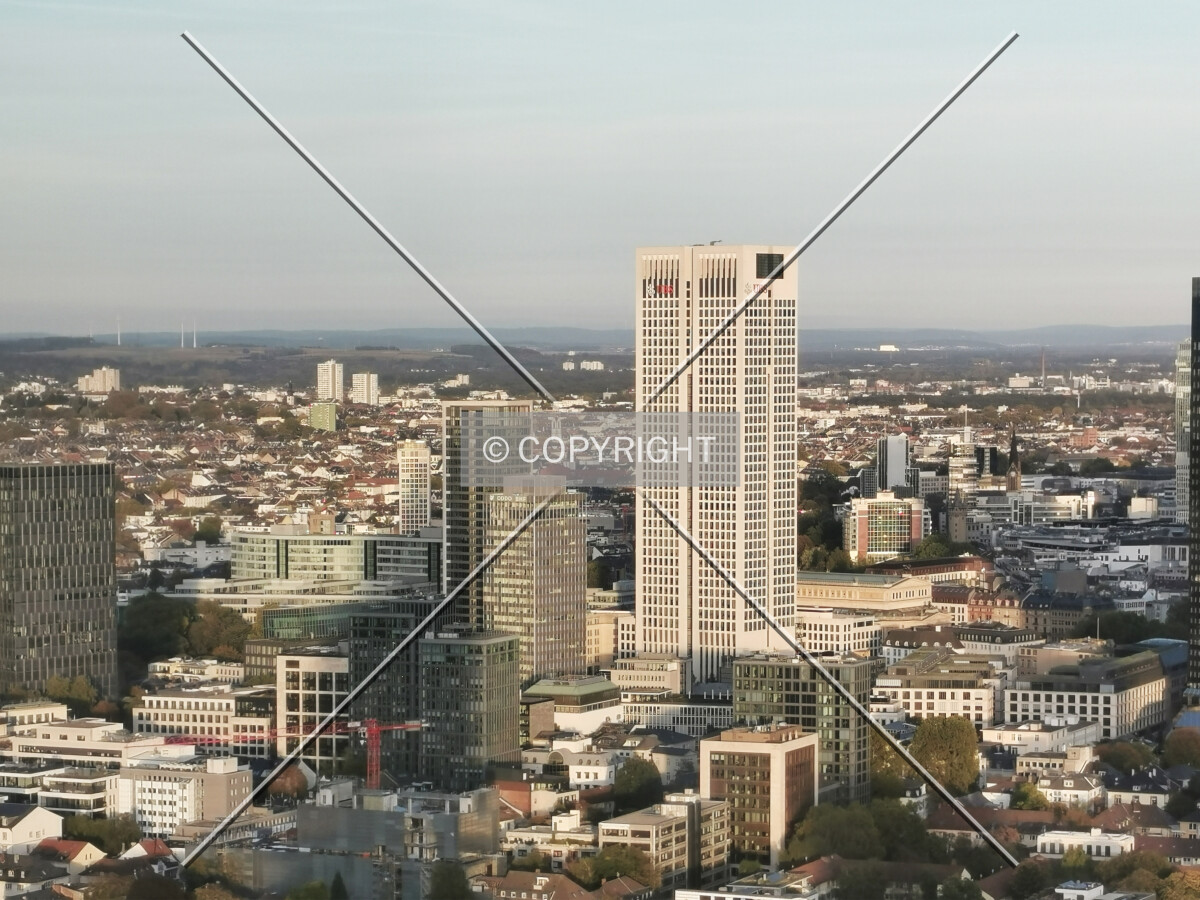 Photo 187-662-724