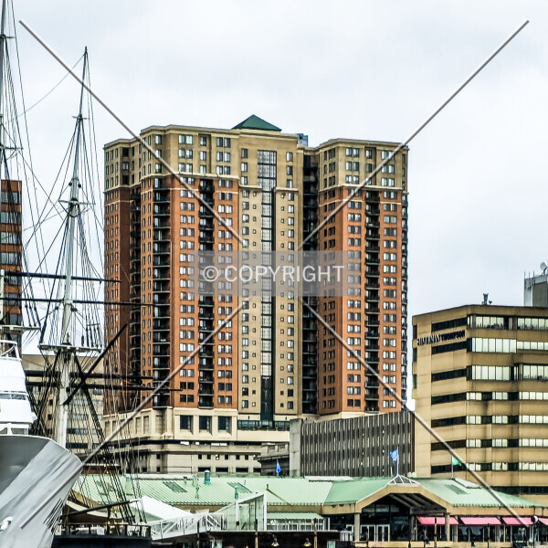 Photo 187-944-782