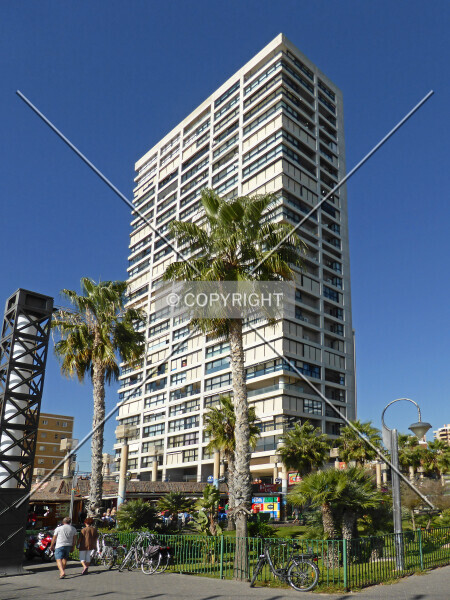 Photo 187-993-999