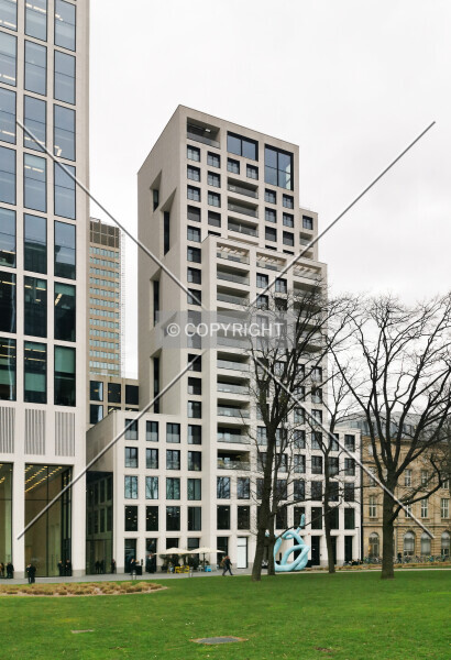 Photo 189-270-329