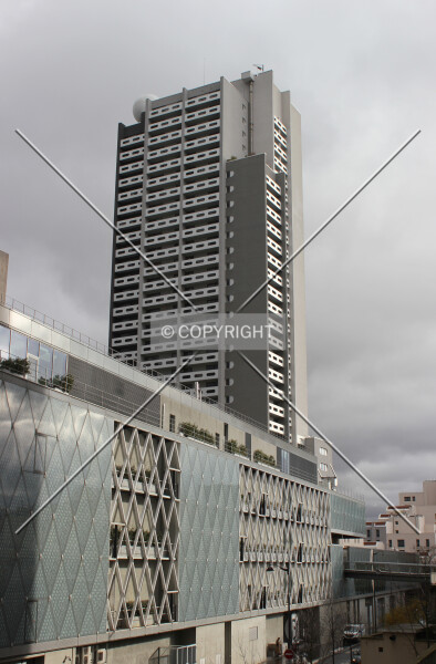 Photo 189-482-985