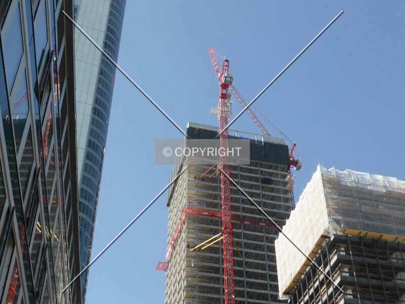Photo 189-517-617