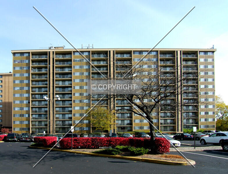 Photo 189-545-677