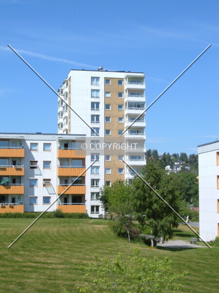 Photo 190-719-007