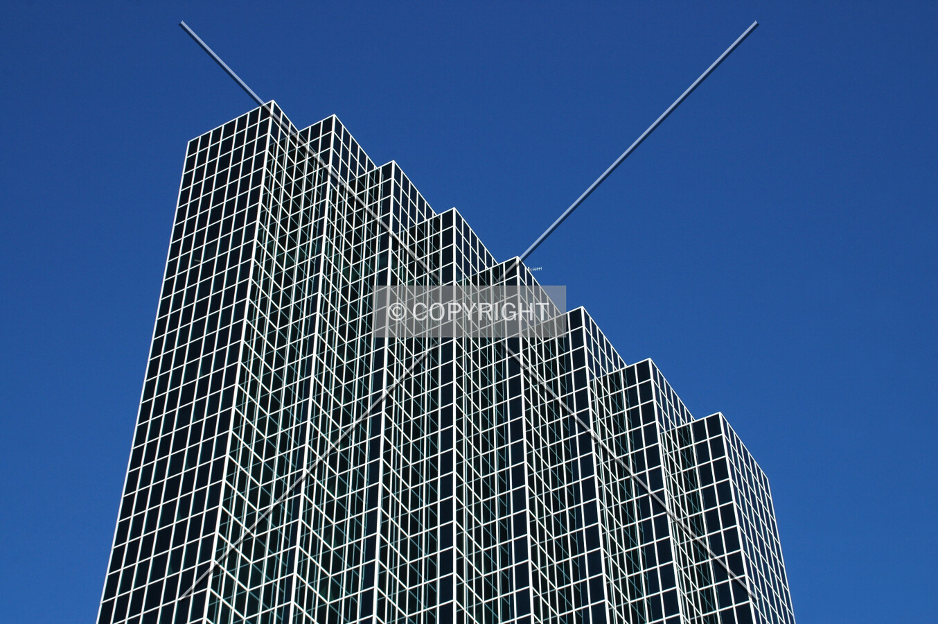 Photo 191-631-569