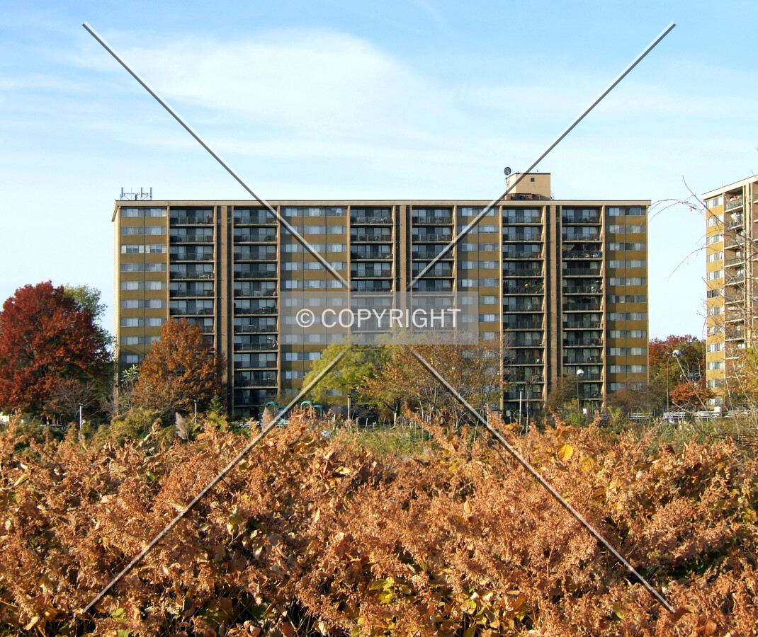 View from the northeast