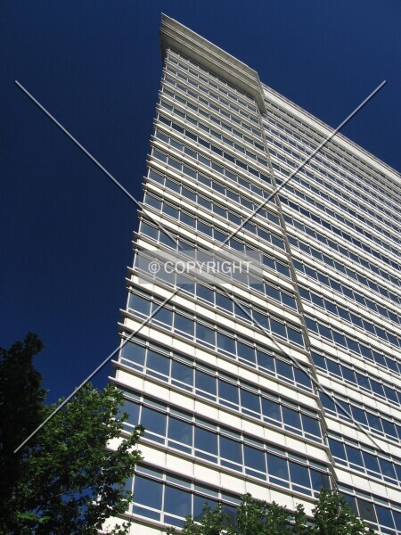 Photo 194-024-286