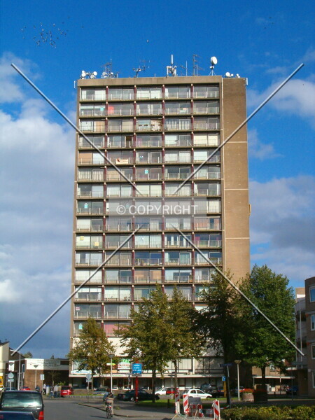 Photo 195-016-229