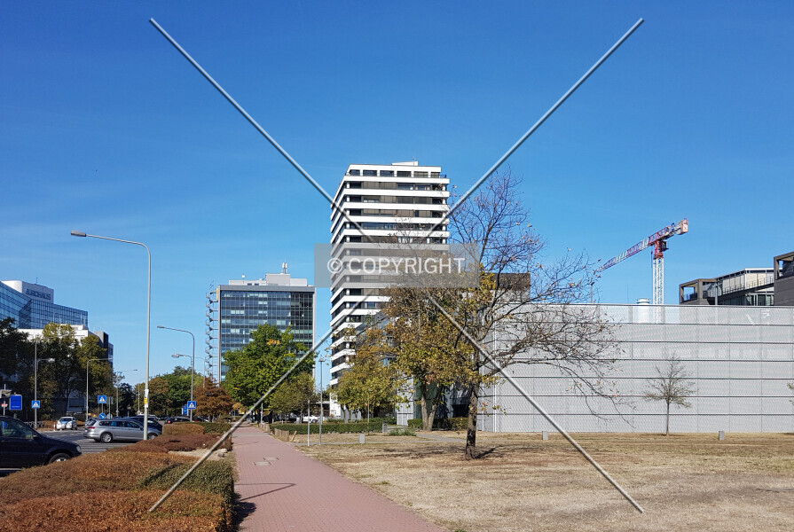 Photo 197-276-066