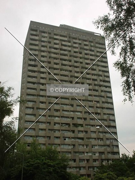 Photo 197-371-581
