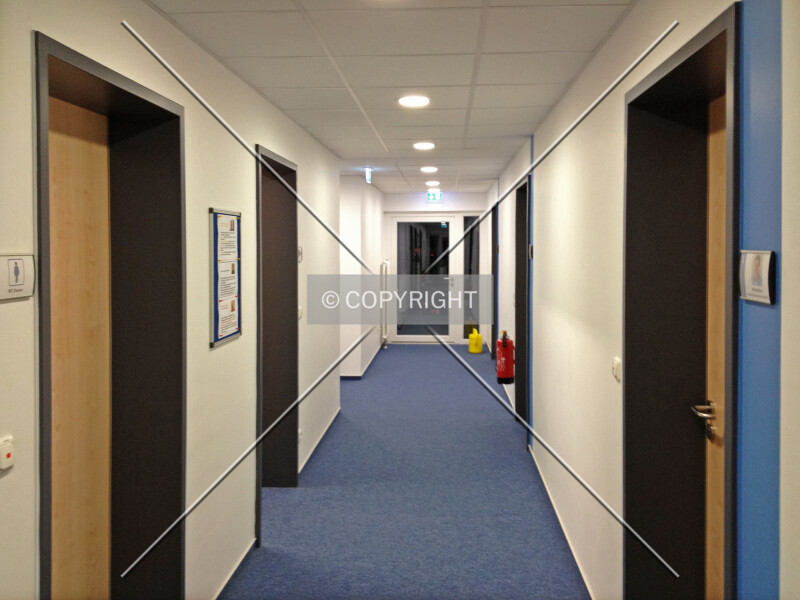Photo 197-396-117