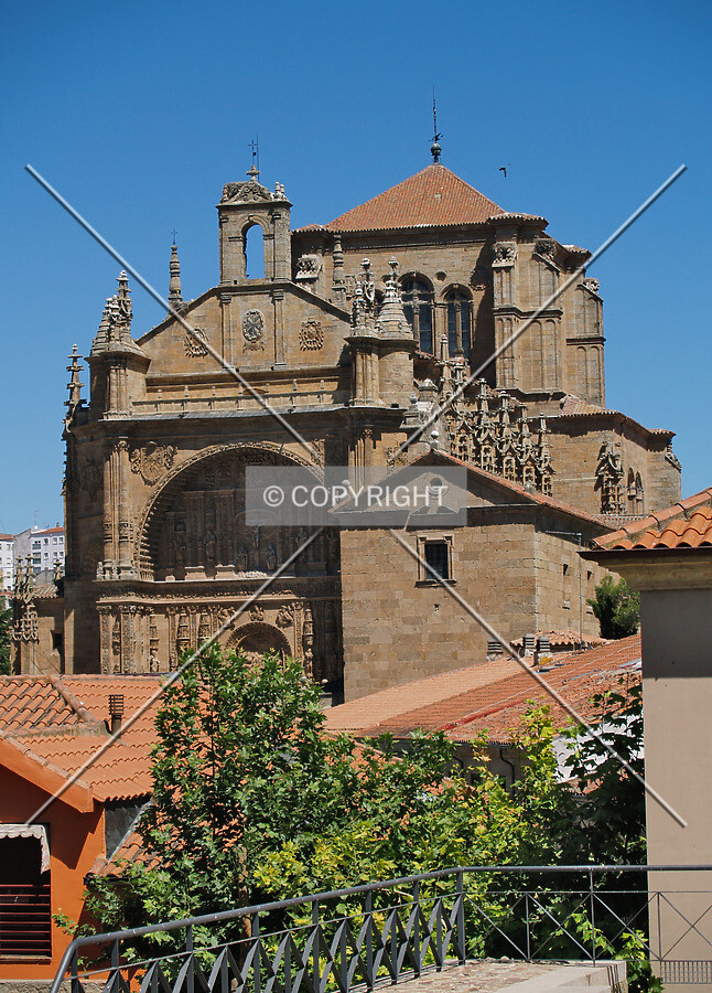 Rising over surrounding roofs