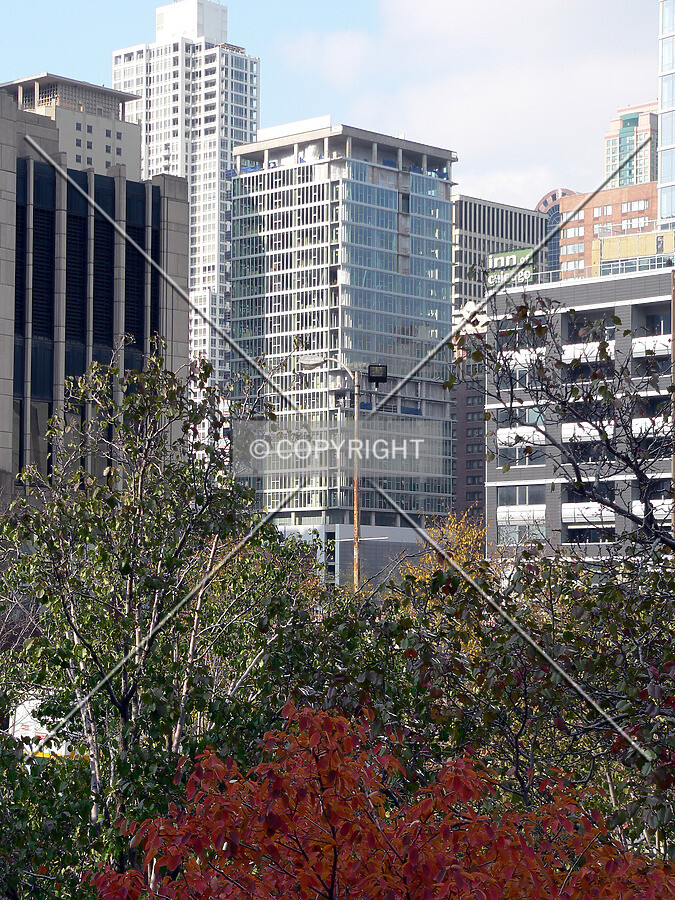 View to the northwest from Park Drive