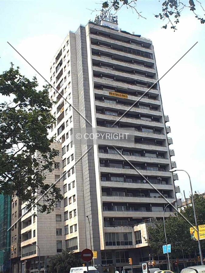 The building