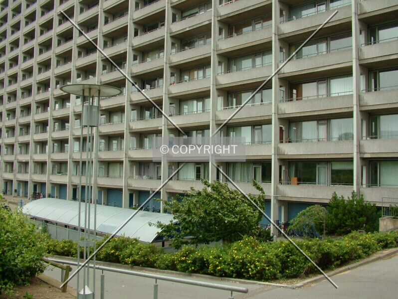 Photo 202-022-935