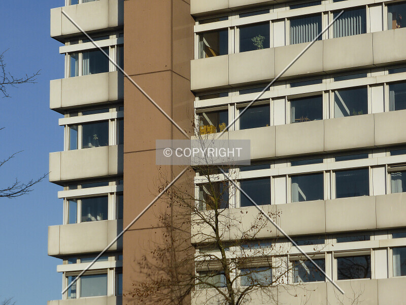 Photo 203-111-522