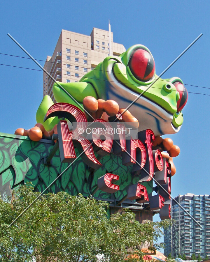 Frog above the front entrance