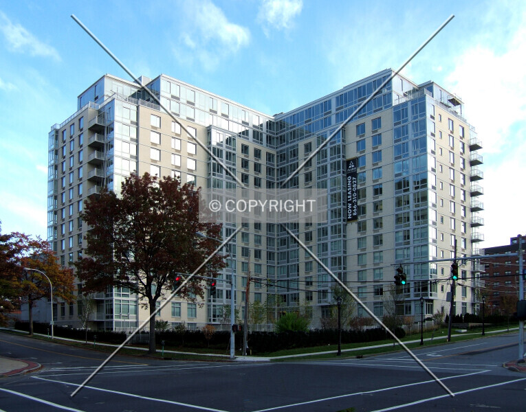 Photo 204-019-960
