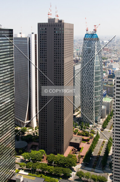 Photo 205-118-671