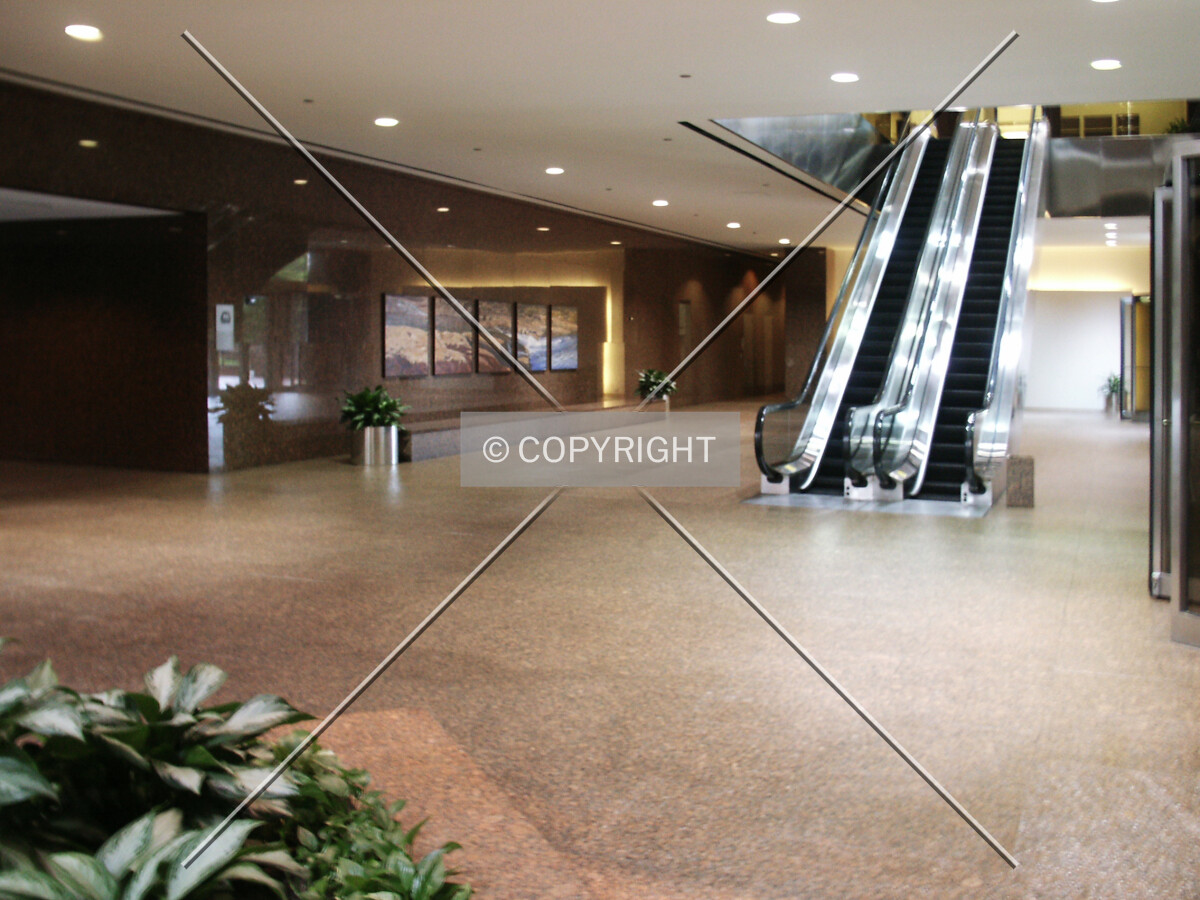 Photo 205-157-294