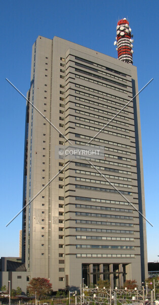 Photo 205-295-113