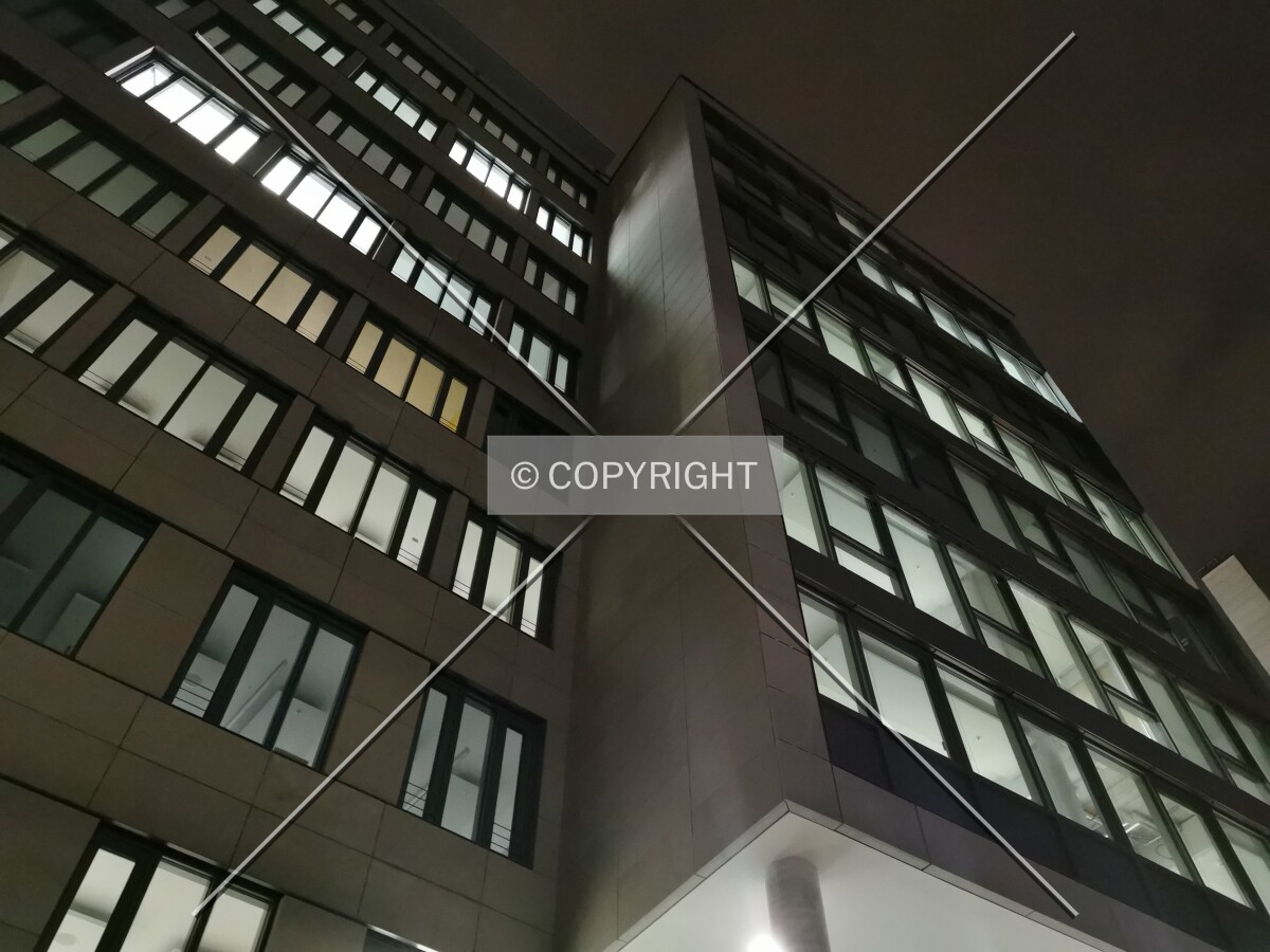 Photo 205-656-407