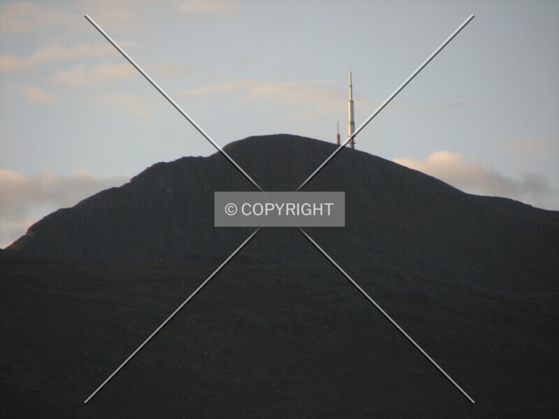 Photo 206-101-887
