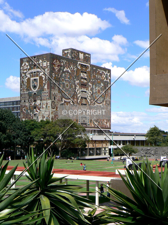 View from the southwest