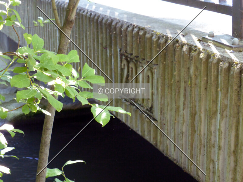 Photo 208-437-333