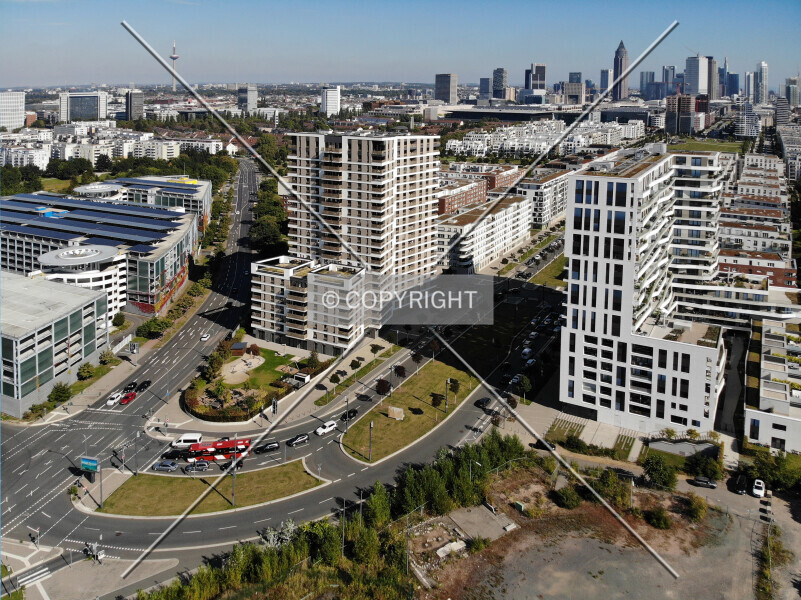 Photo 209-215-443