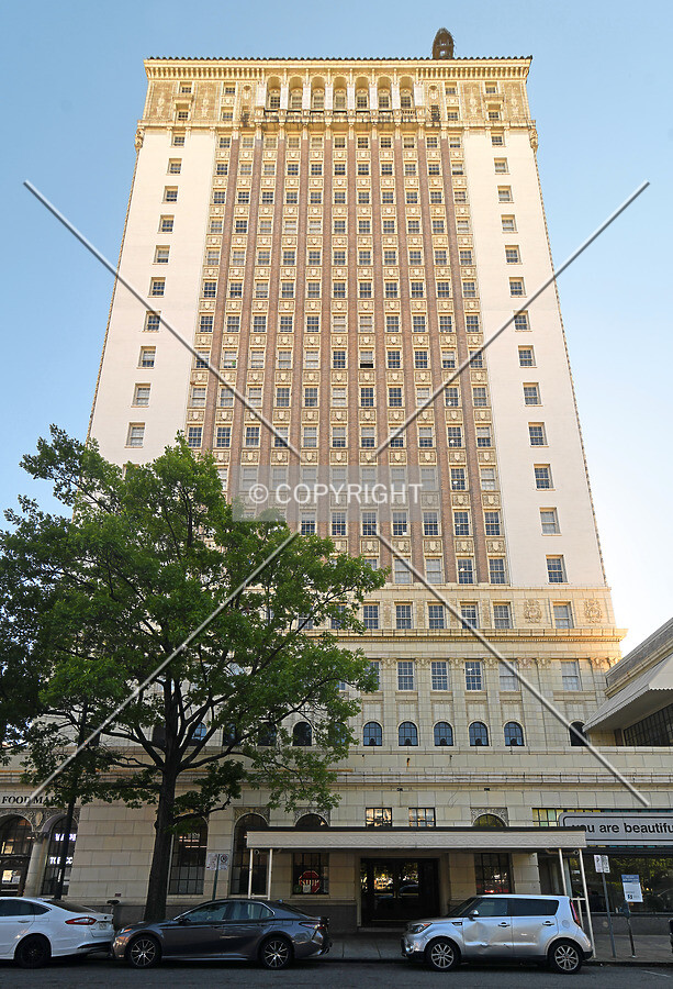 View from the northeast